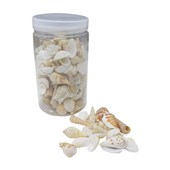 SEA SHELLS ASSORTED 700G