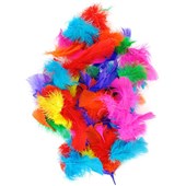 COLORIFIC FEATHERS SMALL ASSORTED PACK 50