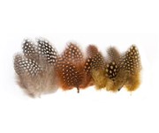 GUINEA FOWL FEATHERS 10G NATURAL