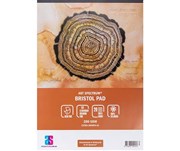 ART SPECTRUM BRISTOL PAD 200GSM 20 SHEET A3 SMOOTH